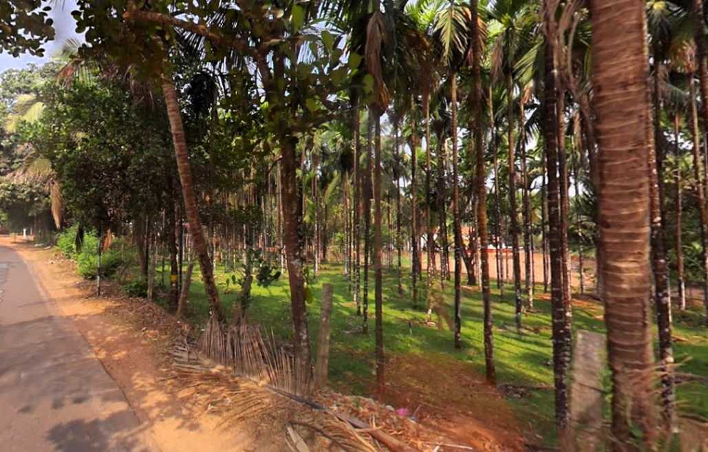 Belthangady, Karnataka 574214, India