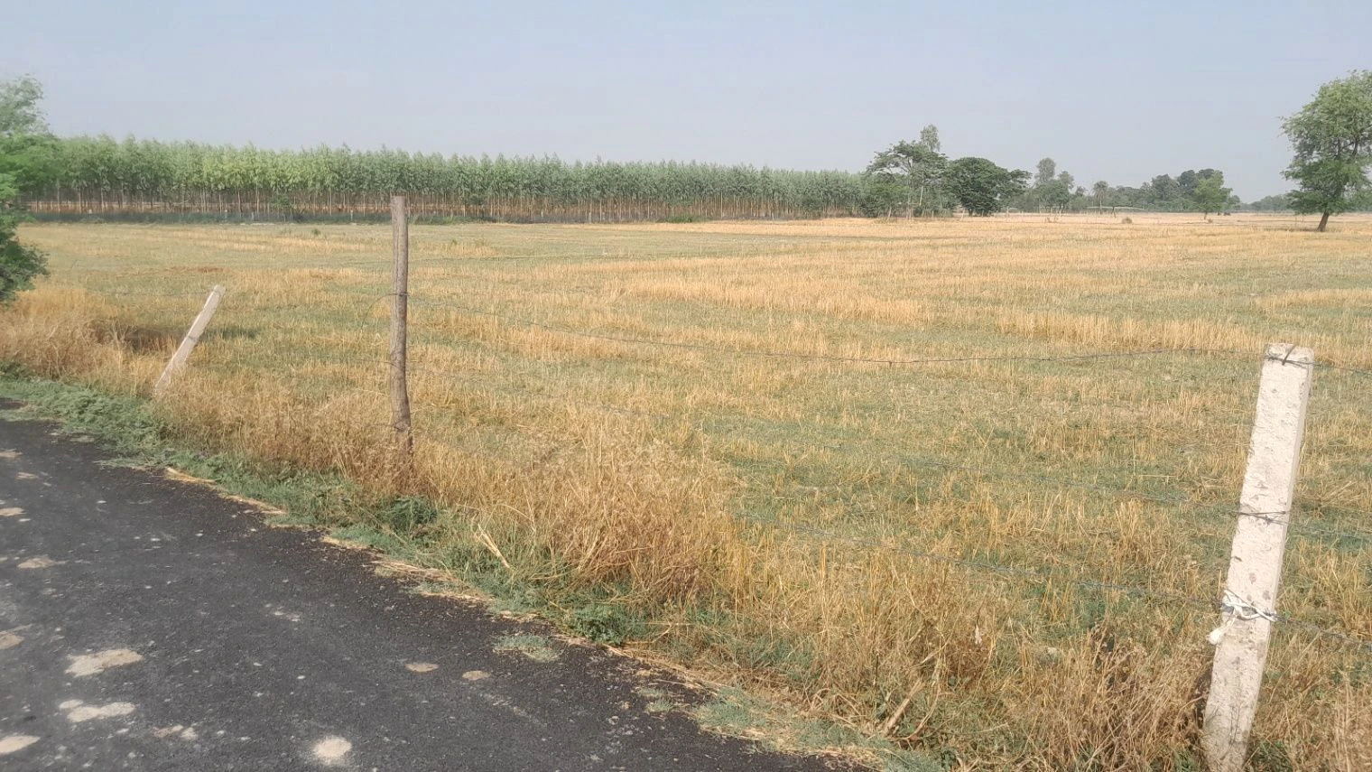 H2MQ+XQ, Padariya Dalelpur, Aadil Pur, Uttar Pradesh 224208, India