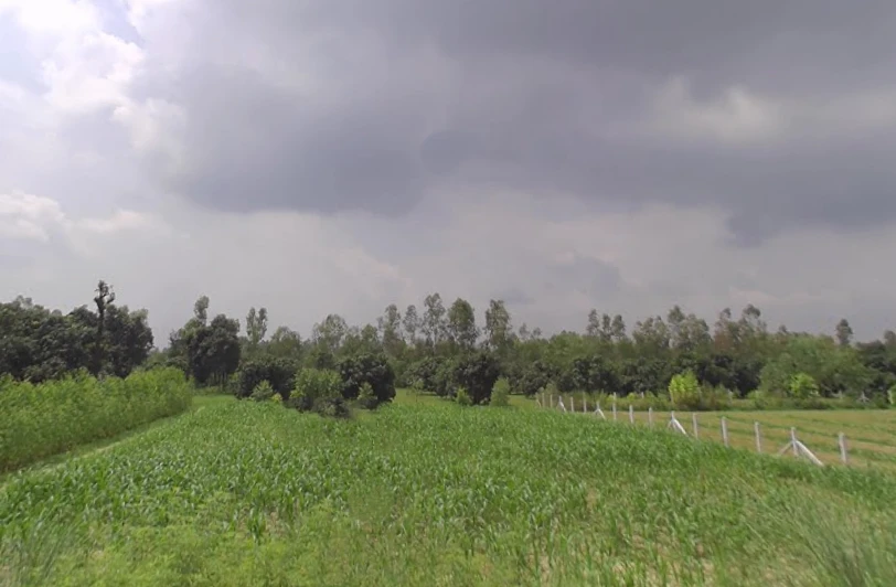 Kothdi Urf Dhaula Kuwan, Uttar Pradesh 247129, India