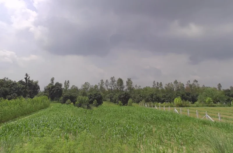 Kothdi Urf Dhaula Kuwan, Uttar Pradesh 247129, India preview 3