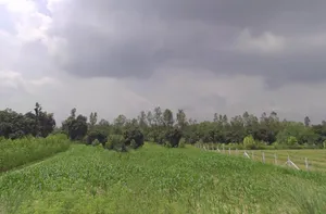 Kothdi Urf Dhaula Kuwan, Uttar Pradesh 247129, India preview 3