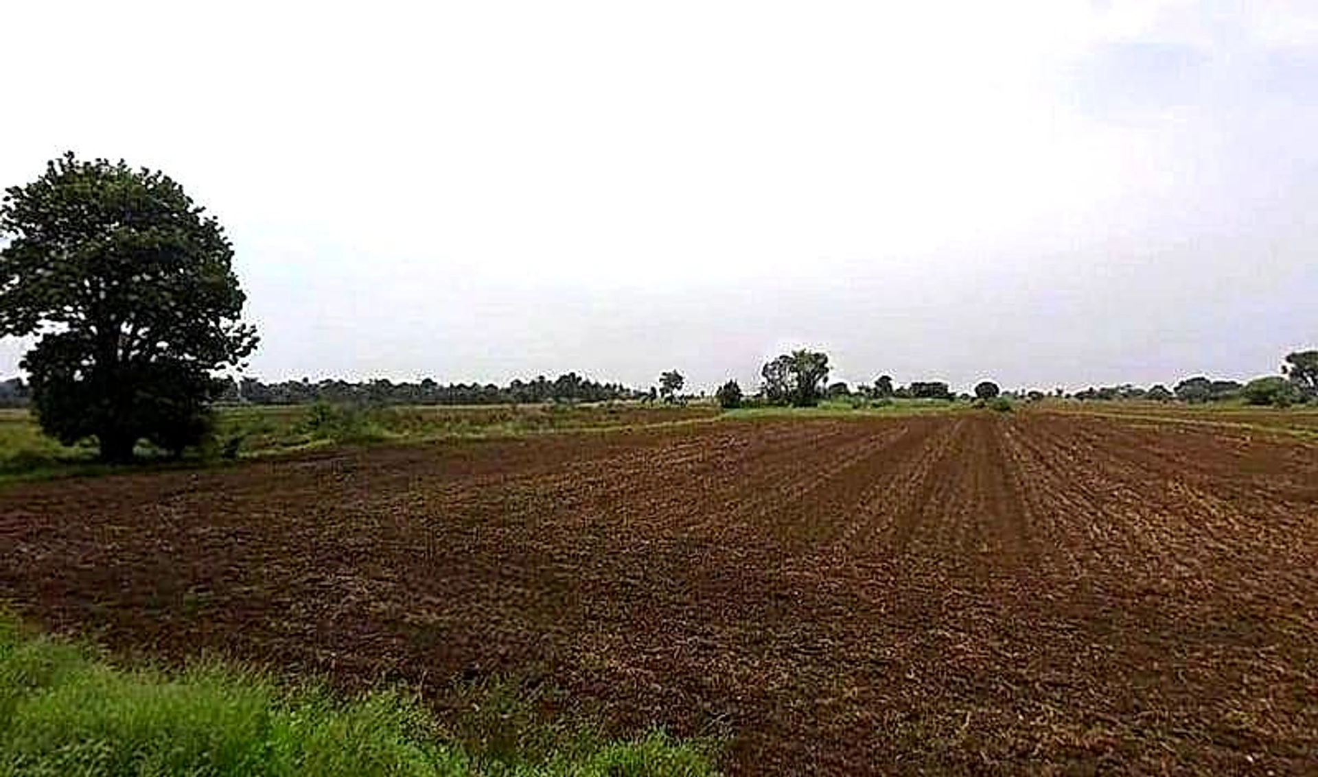Gora Khedi, Madhya Pradesh 466115, India