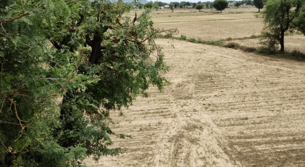 Balachaur, Punjab 144521, India