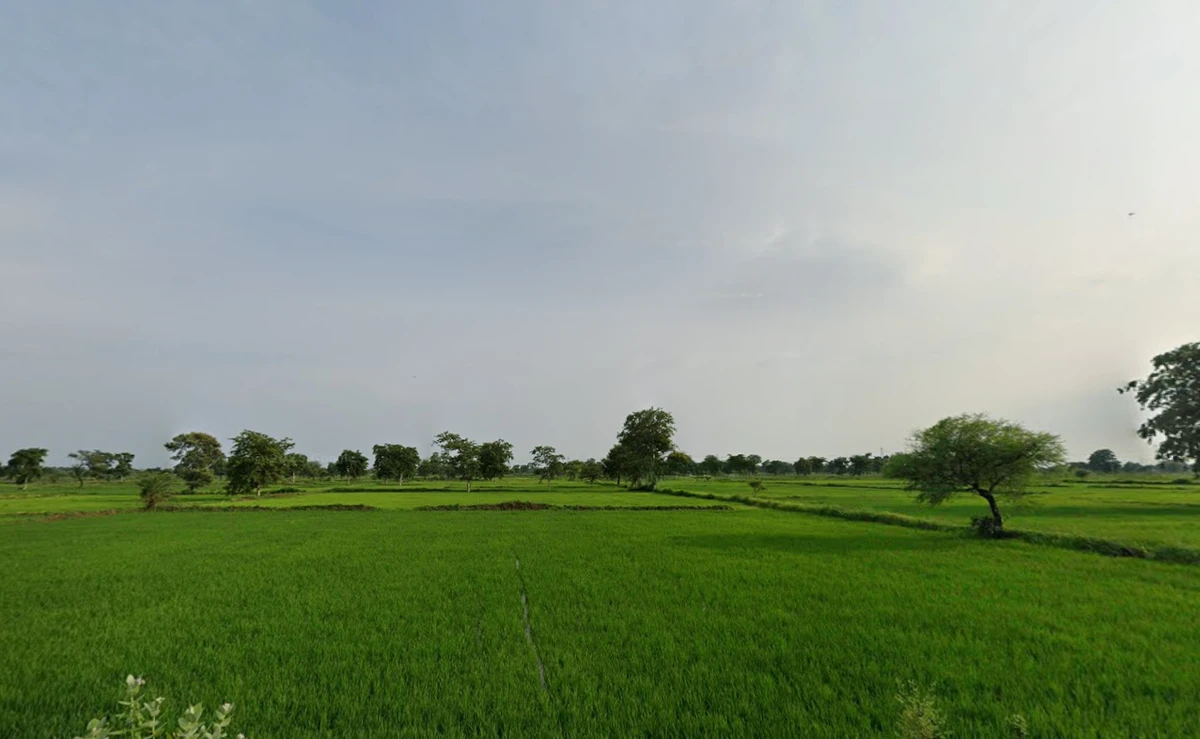 Mudpar Khurd, Chhattisgarh 491332, India