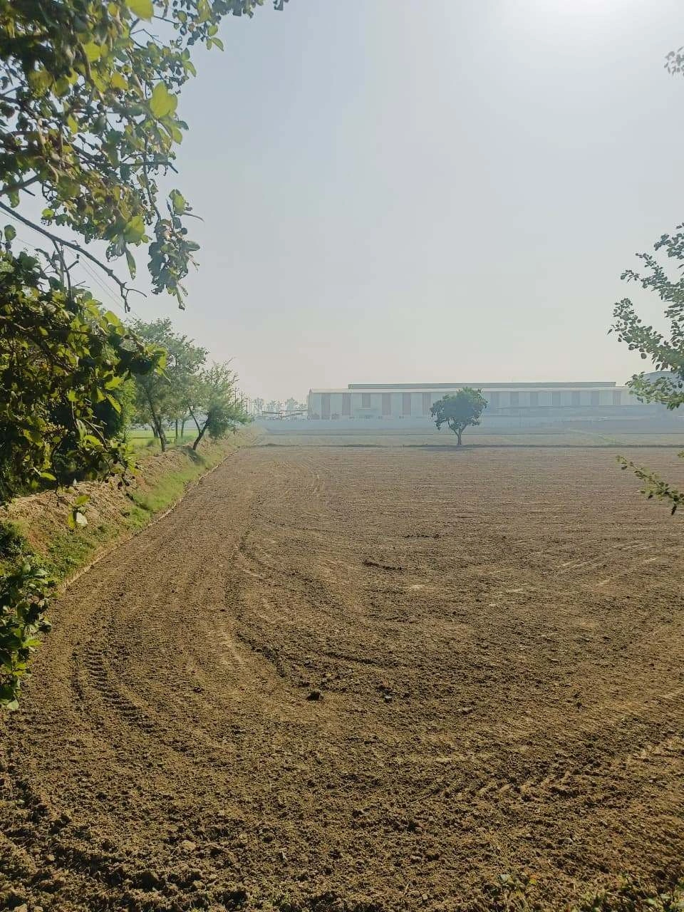 Umari, Mathura, Uttar Pradesh 281123, India - Photo 3
