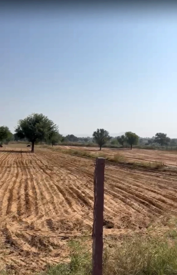 9V85+J5J, Laxmangarh, Rajasthan 321607, India