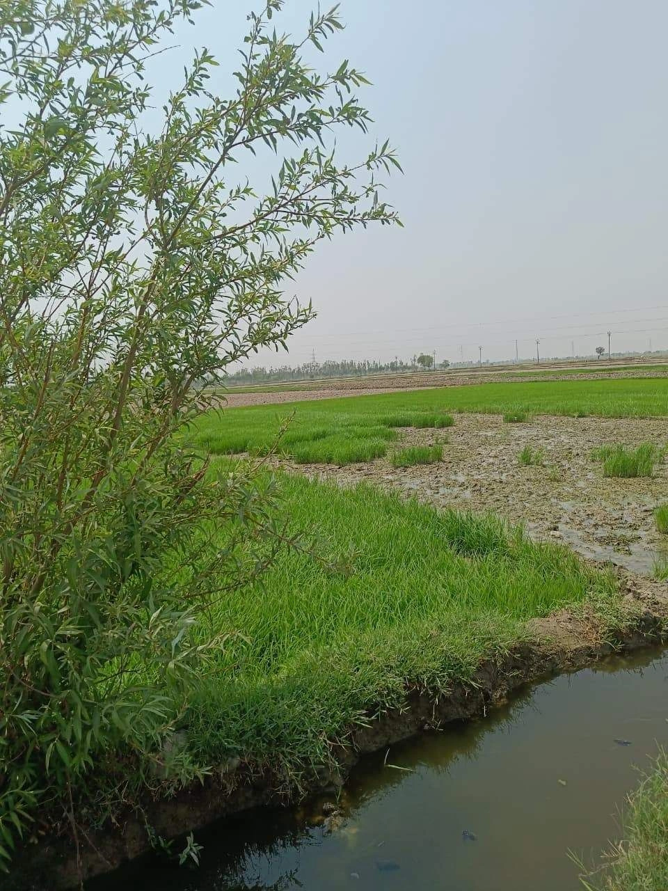 Sahar, Uttar Pradesh, India