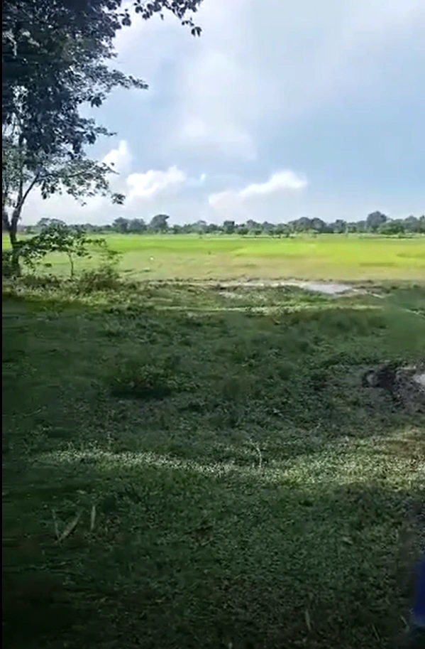 C422+M4F, Maihar, Pal, Madhya Pradesh 485775, India - Photo 3
