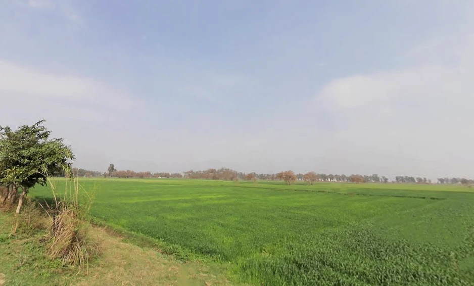 Jhajjar, Haryana 124103, India