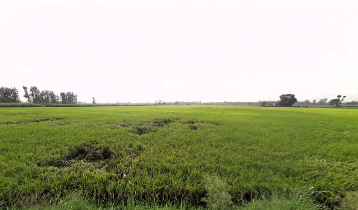 Nakur, Uttar Pradesh 247342, India