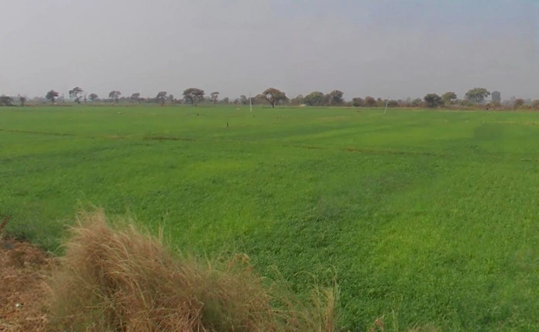 Salkanpur, Madhya Pradesh 466446, India