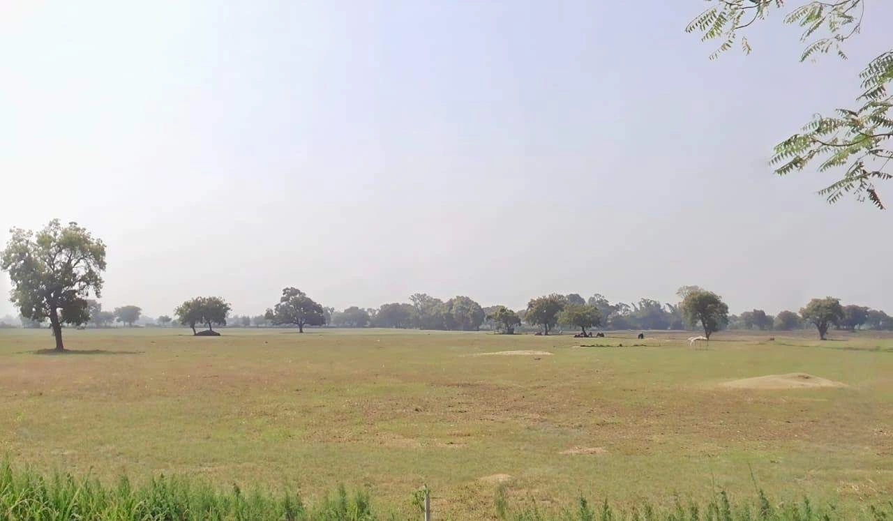 Sulgaon, Madhya Pradesh 450551, India