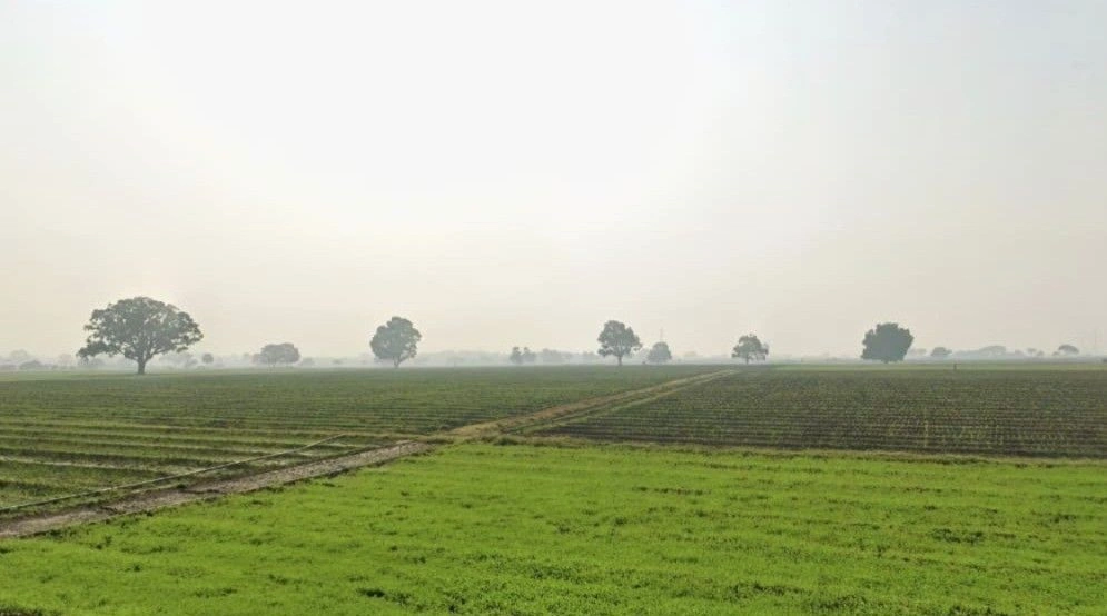 Maheshwar, Madhya Pradesh, India