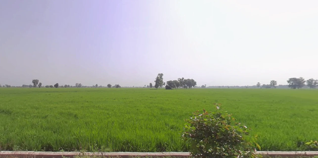 Banga, Punjab 144505, India