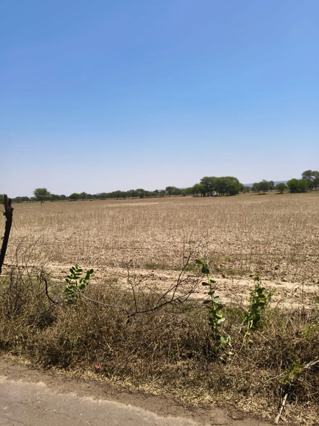 Mahwa, Rajasthan 321608, India