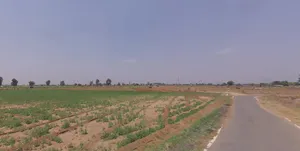 Vadaval, Gujarat, India preview 3