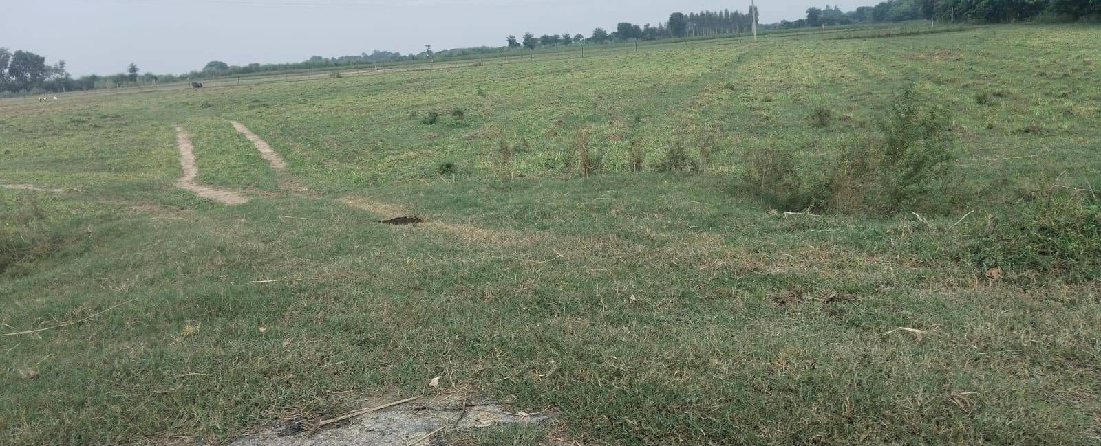 R5VV+49 Balpur, Gonda, Uttar Pradesh, India