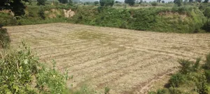 Jugrawar, Rajasthan, India preview 2