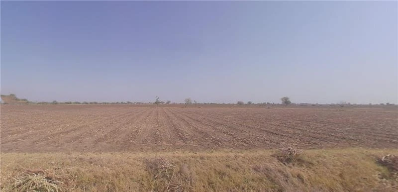 2R88+FH Chandial, Gujarat, India