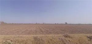 2R88+FH Chandial, Gujarat, India preview 2