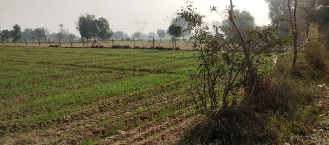 New Chandigarh, Punjab 140901, India
