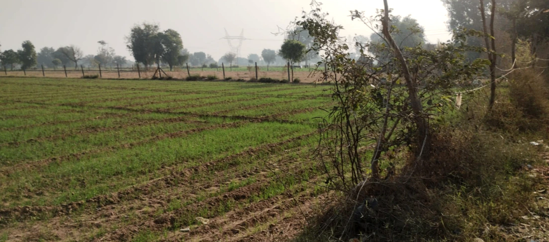 New Chandigarh, Punjab 140901, India
