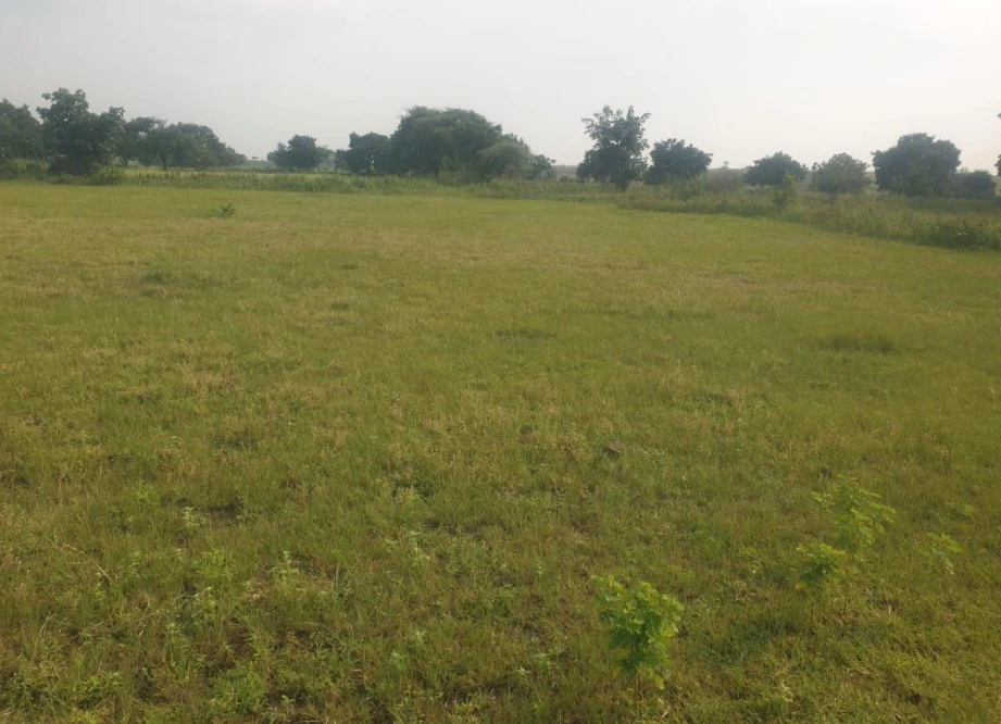 3JC7+95P, Sangareddy, Karsgutti, Telangana 502286, India