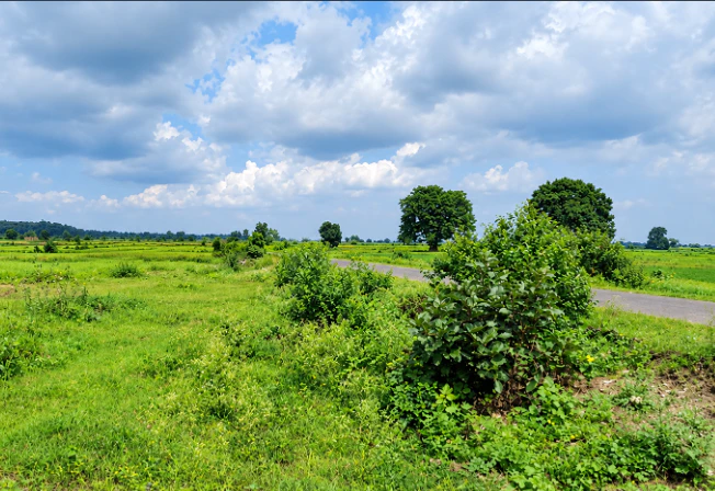 Rajnagar, Chhatarpur, Madhya Pradesh, India