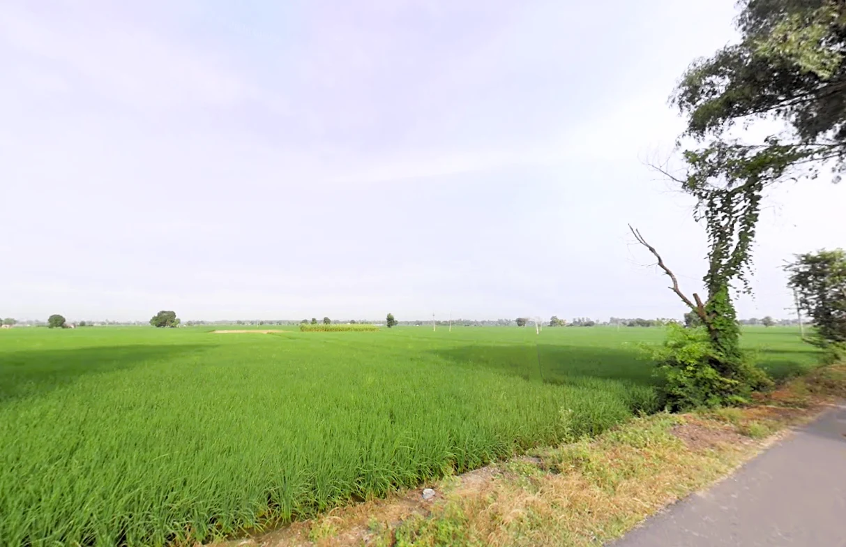 Madlauda, Haryana 132113, India preview 2