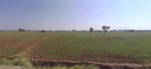 Jaitpura, Rajasthan 303704, India preview 2