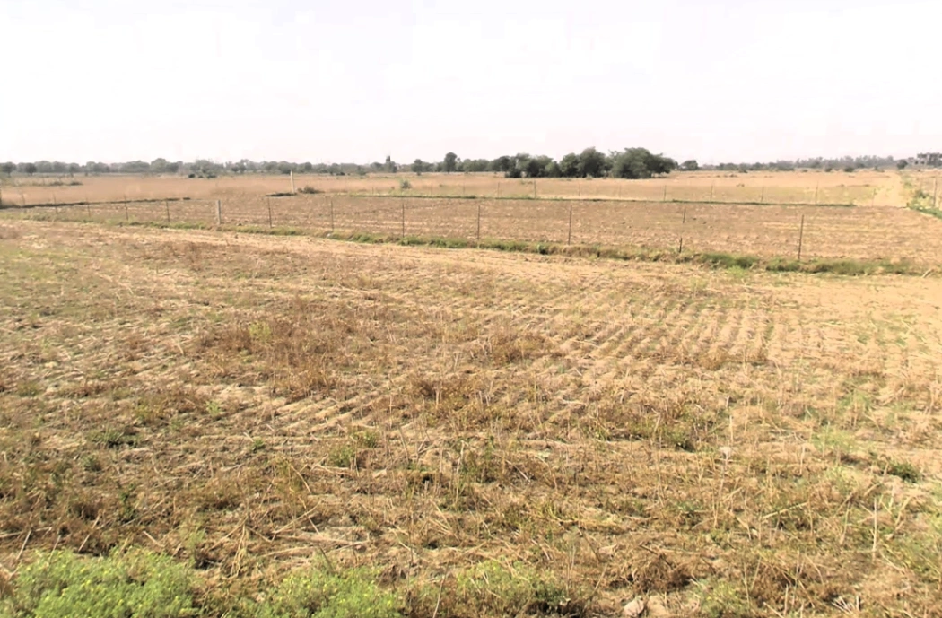 Sector 88B, Gurugram, Haryana 122505, India