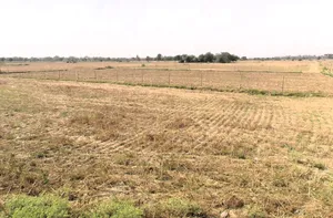 Sector 88B, Gurugram, Haryana 122505, India preview 2