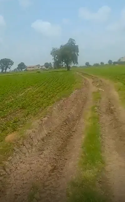 9527+MX4, Ujjain, Kanardi, Madhya Pradesh, India preview 2