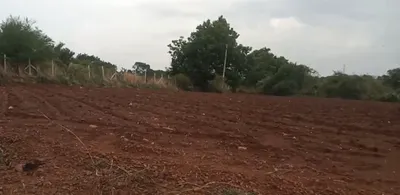 FWWQ+PWH, Vikarabad, Yenkathala, Telangana 501202, India preview 2
