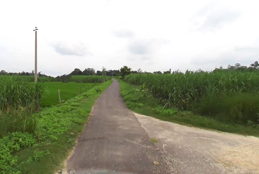 Mankapur, Uttar Pradesh 271302, India