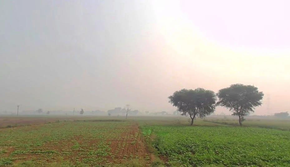 Naugawan, Rajasthan 301411, India