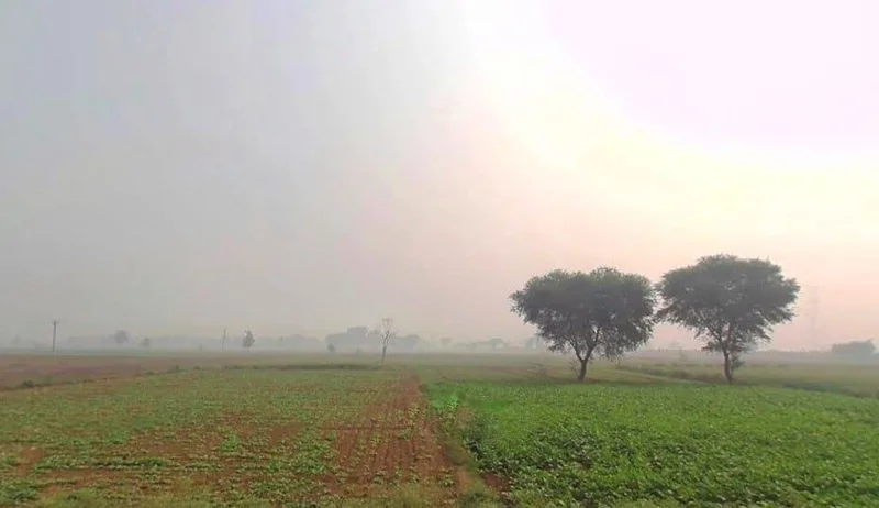 Naugawan, Rajasthan 301411, India preview 3