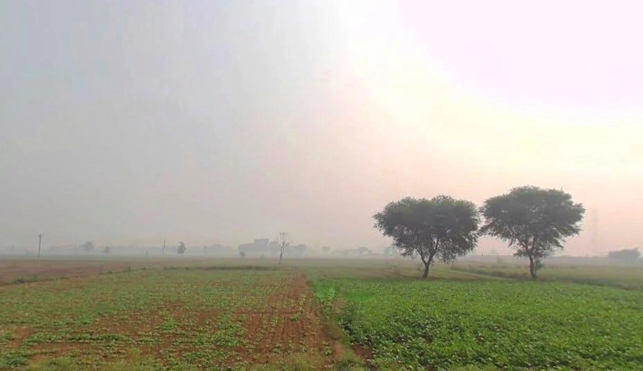 Naugawan, Rajasthan 301411, India