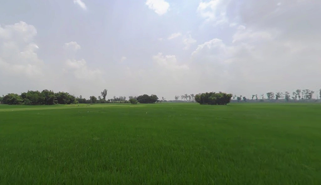 WM43+M83, Gamaharia Rd, Baijnathpur, Saharsa, Bihar 852221, India