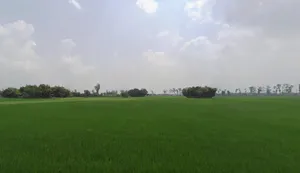 WM43+M83, Gamaharia Rd, Baijnathpur, Saharsa, Bihar 852221, India preview 2