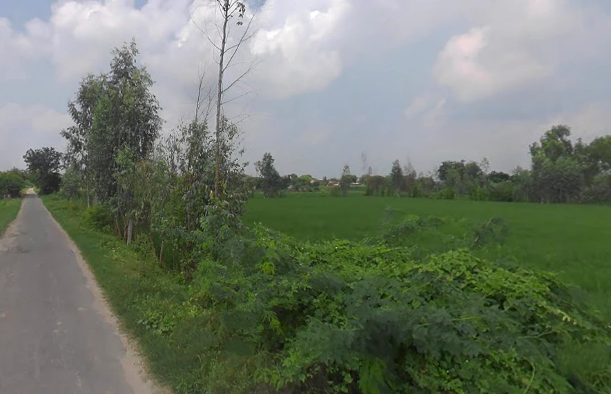 Pala, Uttar Pradesh, India