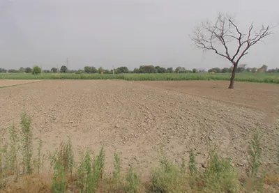 Karanpur, Uttar Pradesh 243727, India preview 2