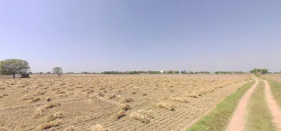 Kelia Vasna, Gujarat, India preview 2