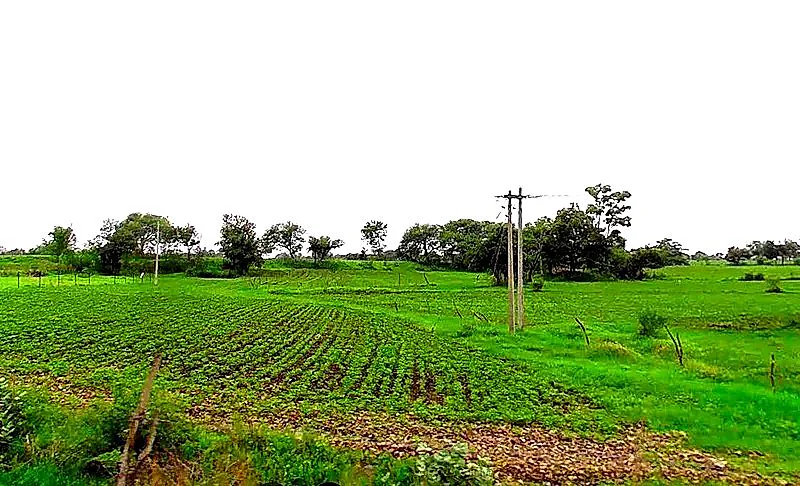 Duraha, Madhya Pradesh 466661, India preview 2