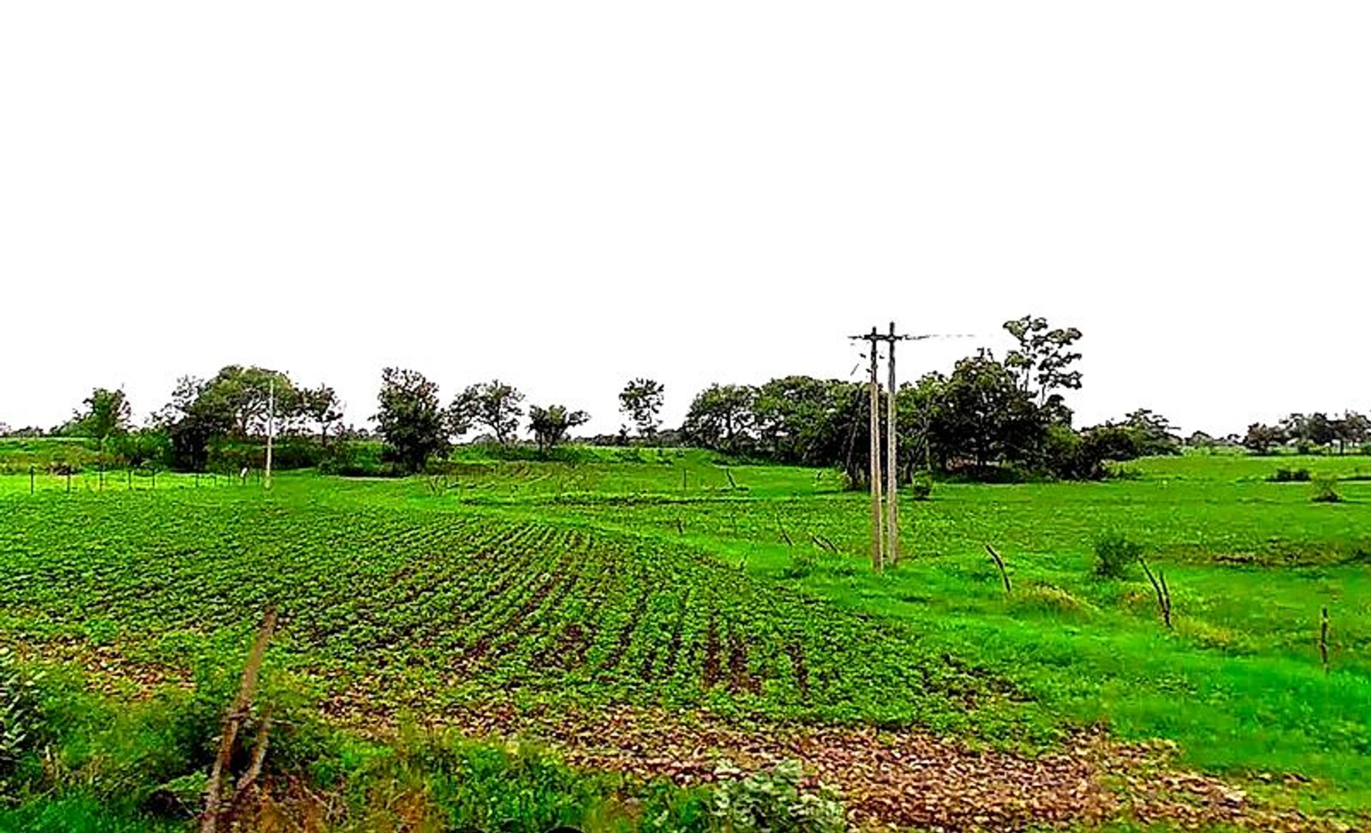 Duraha, Madhya Pradesh 466661, India