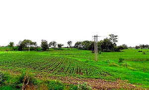 Duraha, Madhya Pradesh 466661, India preview 2