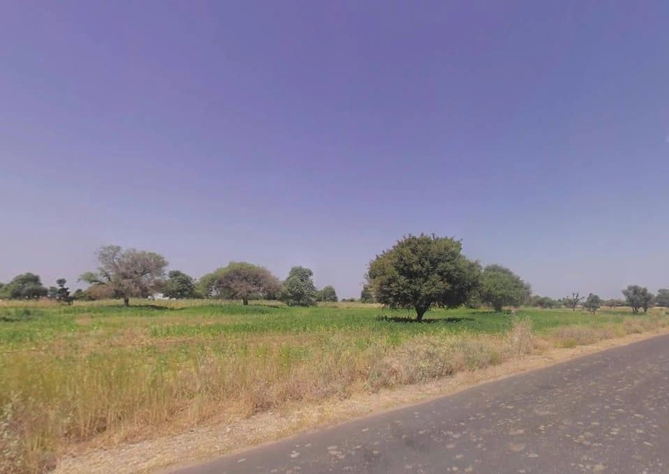 Khatoo, Rajasthan 332602, India