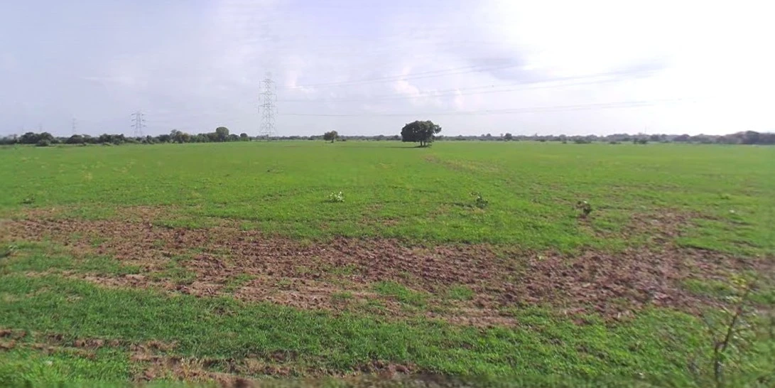 Jhajjar, Haryana 124103, India