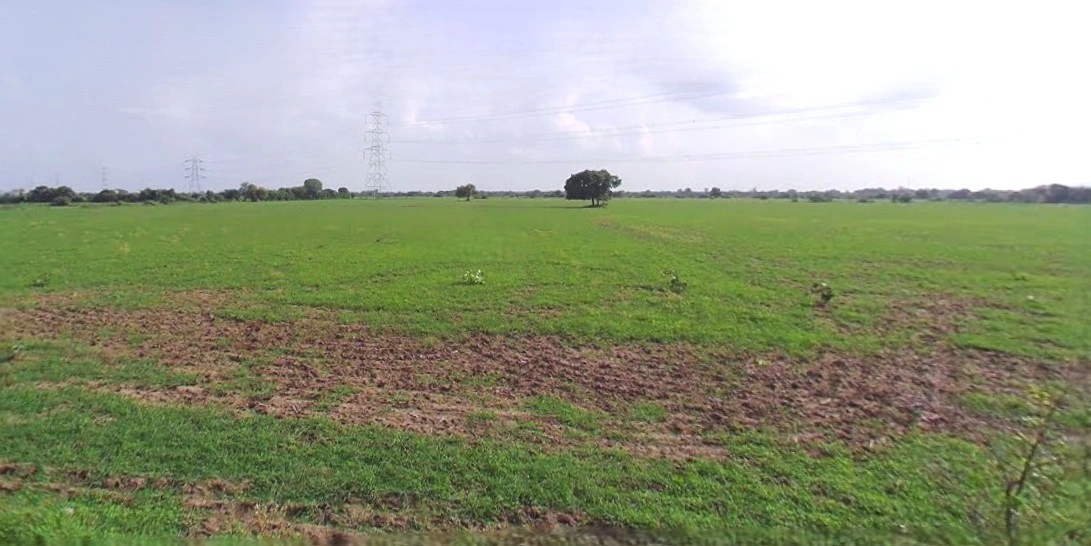 Jhajjar, Haryana 124103, India