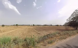 Machhrauli, Haryana 124108, India preview 2